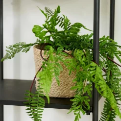 Macetas<CASA Atlantic Macetero Natural