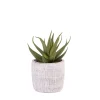 Plantas Artificiales<CASA Cement Planta Artificial Gris