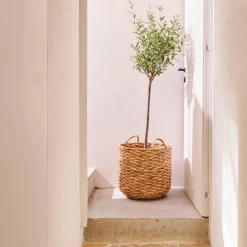 Cestas De Almacenaje<CASA Joni Cesta Natural