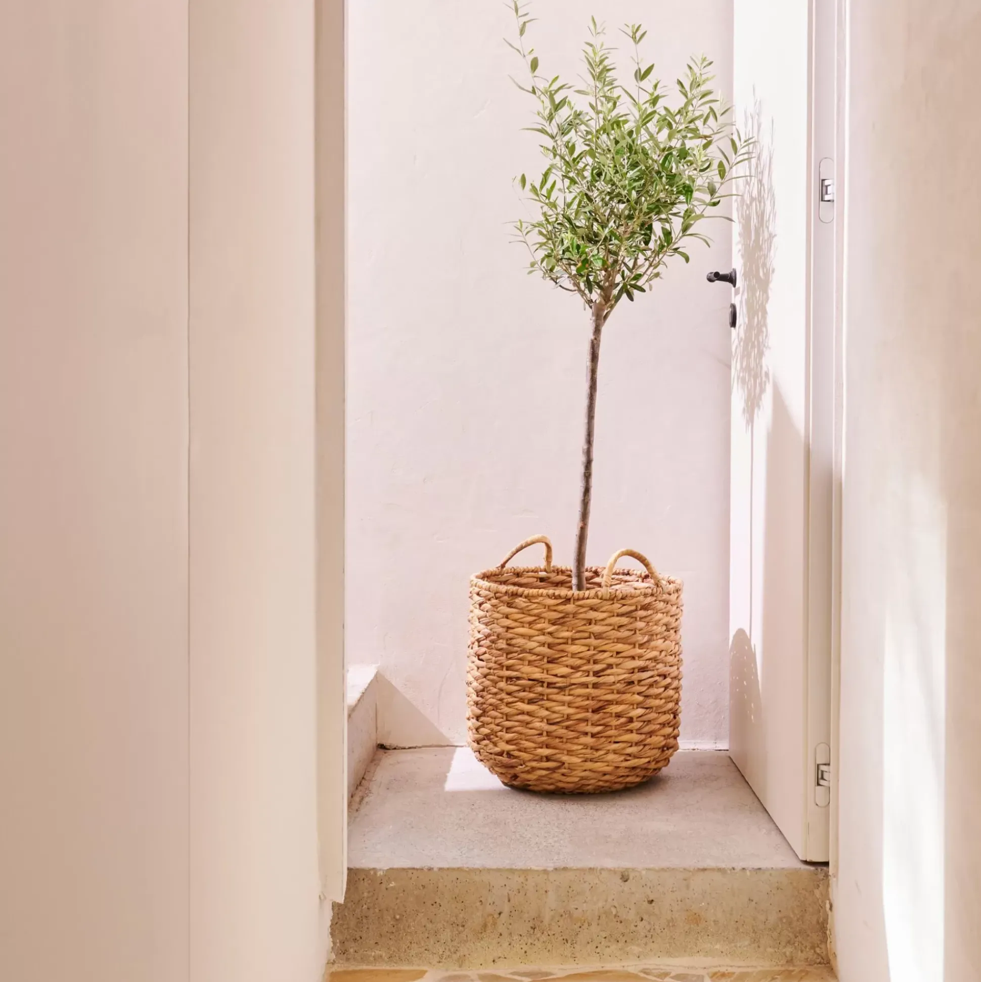 Cestas De Almacenaje<CASA Joni Cesta Natural