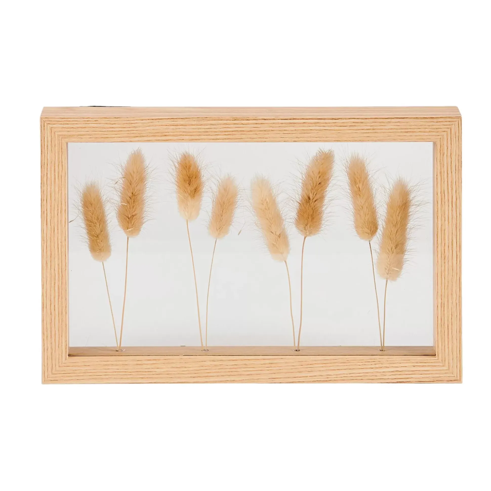 Decoracion De Pared<CASA Lagurus Decoracion De Pared Natural