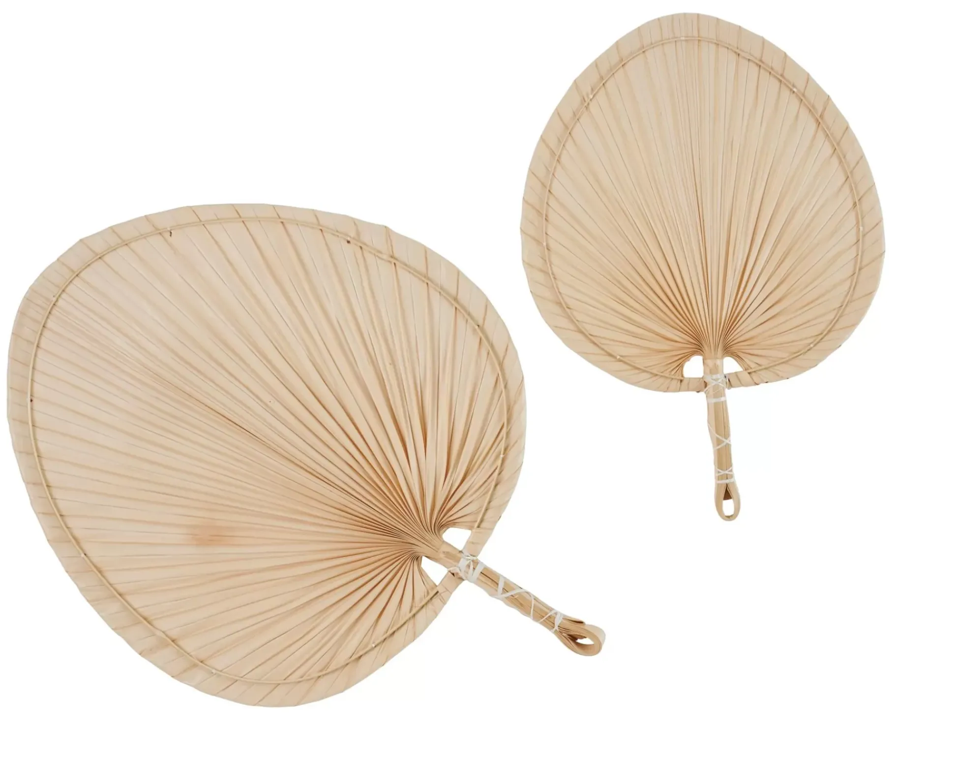 Flores Artificiales<CASA Palmino Hoja De Palma Natural