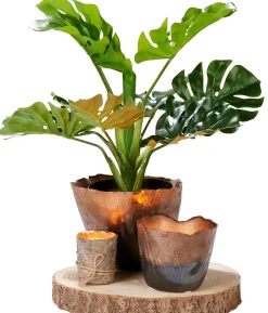 Fuentes Decorativas<CASA Paulo Fuente Natural