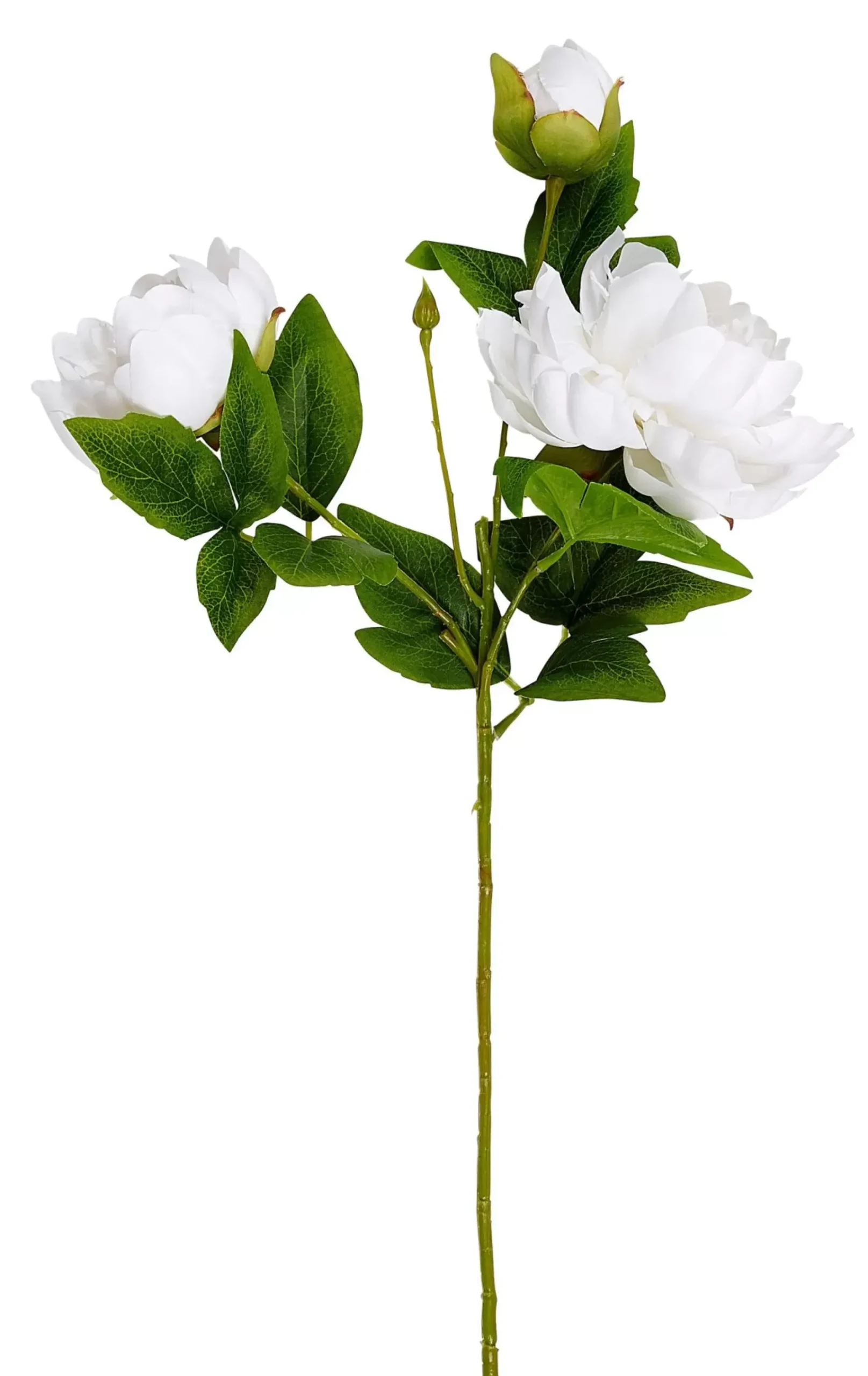 Flores Artificiales<CASA Peony Rosa Peonia Blanco