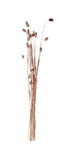 Plantas Artificiales<CASA Phalaris Hierba Ornamental Cobrizo