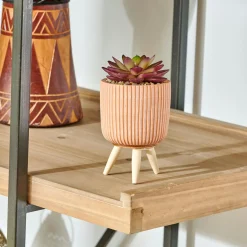 Plantas Artificiales<CASA Stripe Planta Crasa Art En Tarro Multicolor