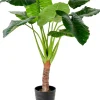 Plantas Artificiales<CASA Taro Planta Artificial Aro Verde