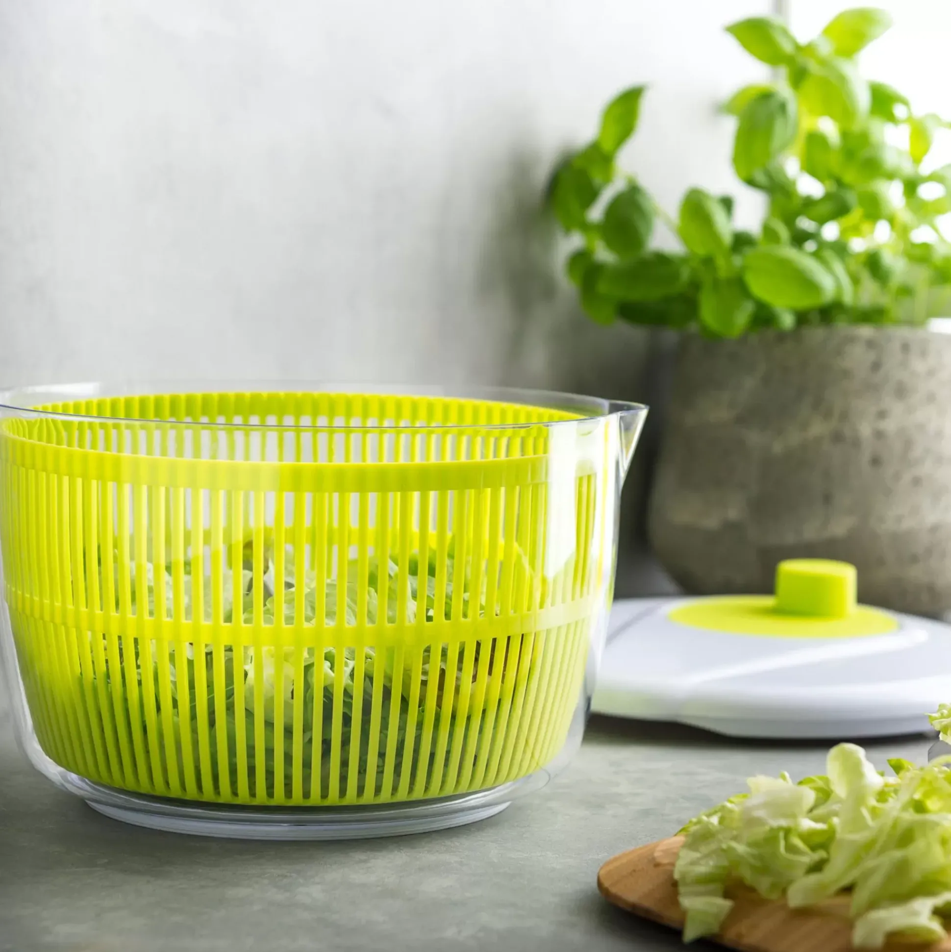 Escurridores<CASA Vida Verde Escurridor De Lechugas Blanco, Verde